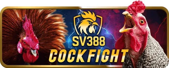 Nổ Hũ Video Hiện Đại z 88